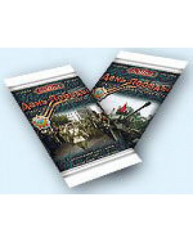 День Победы-foto4